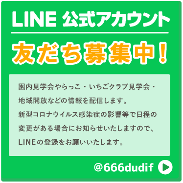 LINE公式アカウント